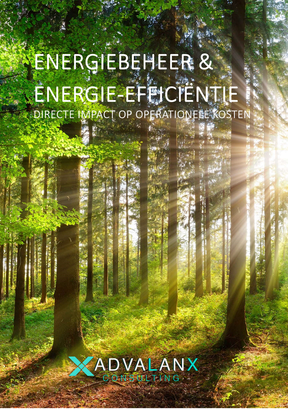 Download Energy White Paper